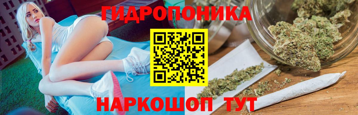 Бошки марихуана LSD WEED  Бошки марихуана план  Конопля марихуана  Вятские Поляны  Вход с VPN 